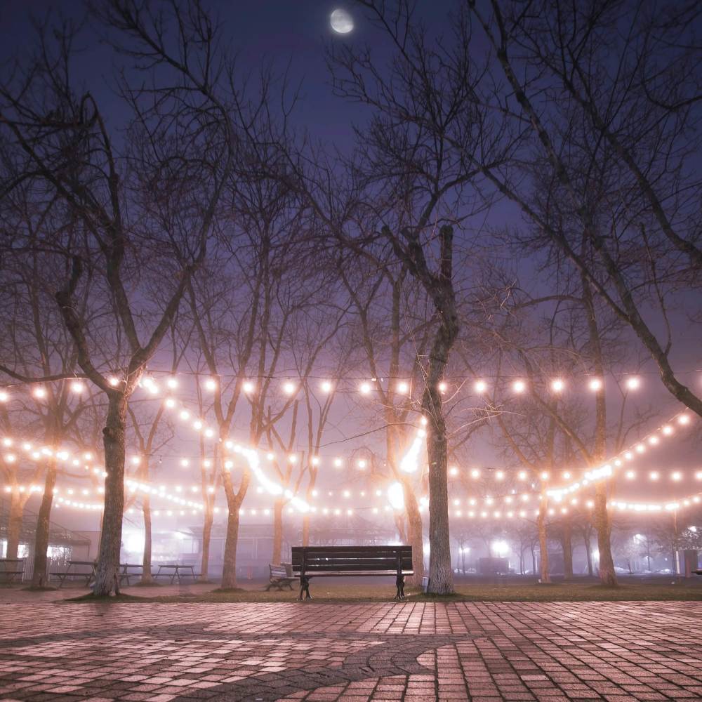 Evening Night