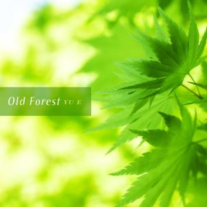 Old Forest