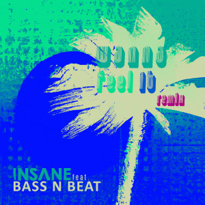 Wanna Feel It (Remix) dari Bass N Beat