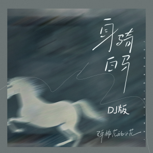 收聽彈棉花的小花的身騎白馬 (pay姐DJ版)歌詞歌曲