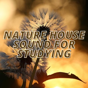Listen to Big Bam (Night Beats House Mix) song with lyrics from K Six