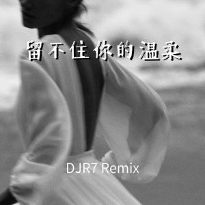 Listen to 留不住你的温柔 (DJR7) song with lyrics from DJR7