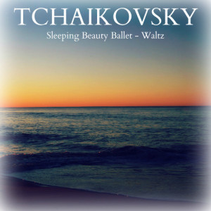 收聽Massimo Freccia的Sleeping Beauty Ballet - Waltz歌詞歌曲