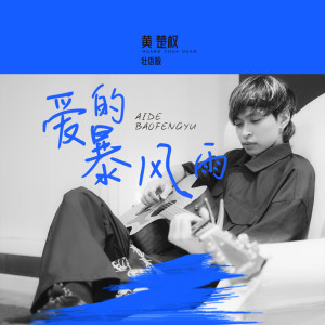 Listen to 爱的暴风雨 (dj光音坊壮语版) song with lyrics from 黄楚权
