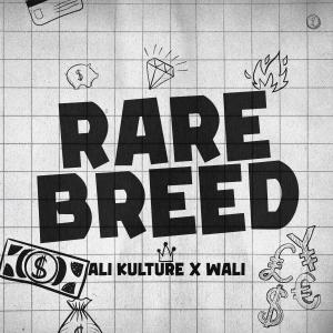 Listen to RARE BREED (feat. Wali) song with lyrics from Ali Kulture