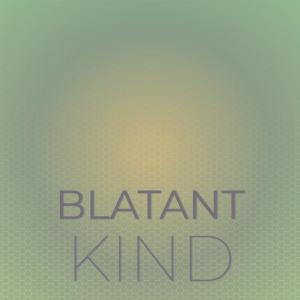 Album Blatant Kind from Various