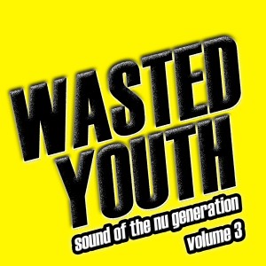 Album Wasted Youth, Vol. 3 from Various Artists