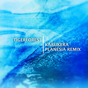 Album Karukera (Planesia Remix) from Tigerforest