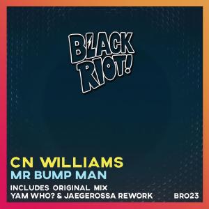 Listen to Mr. Bump Man song with lyrics from CN Williams