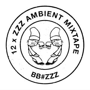 ดาวน์โหลดและฟังเพลง ZZZ PART TEN พร้อมเนื้อเพลงจาก Bassbin Twins