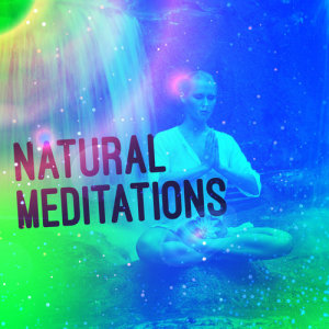 ดาวน์โหลดและฟังเพลง Evening Song พร้อมเนื้อเพลงจาก Natural Meditation