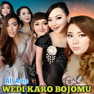 Listen to WEDI KARO BOJOMU song with lyrics from All Artis