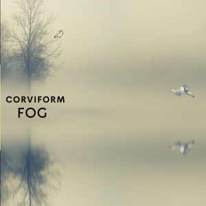 ดาวน์โหลดและฟังเพลง Fog พร้อมเนื้อเพลงจาก Corviform