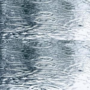 Album Look at the Rain oleh Phil Kelly