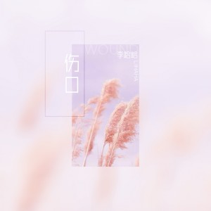 收聽李哈哈的傷口歌詞歌曲