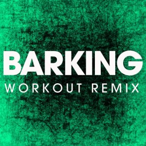 ดาวน์โหลดและฟังเพลง Barking (Extended Workout Remix) พร้อมเนื้อเพลงจาก Power Music Workout