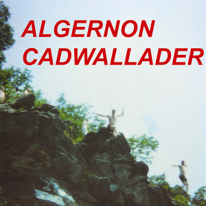 ดาวน์โหลดและฟังเพลง Fun พร้อมเนื้อเพลงจาก Algernon Cadwallader