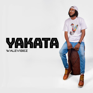 Listen to Yakata song with lyrics from Walevibez