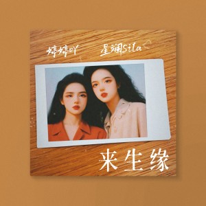 Listen to 来生缘 (cover: 单依纯|刘惜君) (完整版) song with lyrics from 星斓Sila