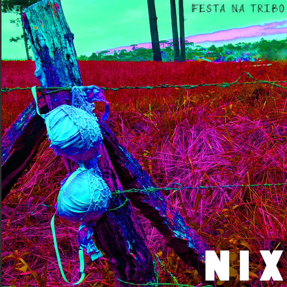 Festa na Tribo
