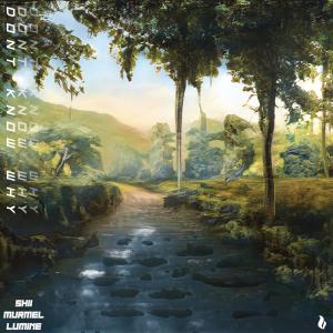 Album Don't Know Why (feat. Lumine) from Shii