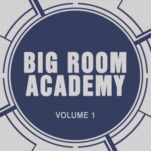 Album Big Room Academy from Big Room Academy