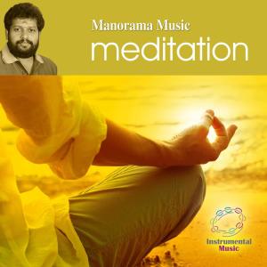 ดาวน์โหลดและฟังเพลง Seeking Salvation พร้อมเนื้อเพลงจาก M. G. Anil