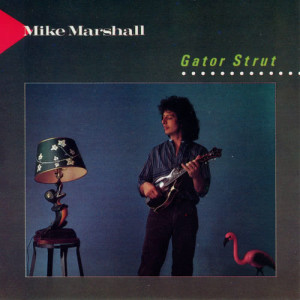 อัลบัม Gator Strut ศิลปิน Mike Marshall