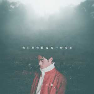 收聽王小帅的我只是你路過的一場風景歌詞歌曲