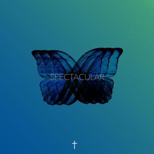 Album Spectacular from 