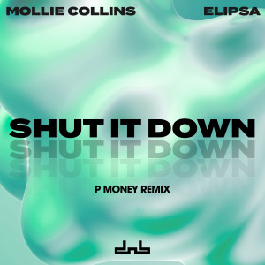 Mollie Collins的專輯Shut It Down (P Money Remix) (Explicit)