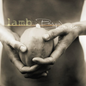 收聽Lamb的Wonder歌詞歌曲