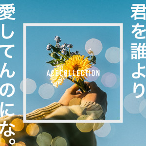 ACE COLLECTION的專輯Kimi Wo Dareyori Aishitennonina.