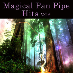 Wolfgang Remo的專輯Magical Pan Pipe Hits Vol. 2