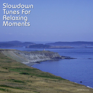 อัลบัม Slowdown Tunes for Relaxing Moments ศิลปิน Various Artists