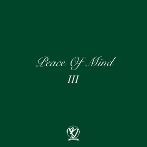 Listen to Peace of Mind song with lyrics from Beaatz