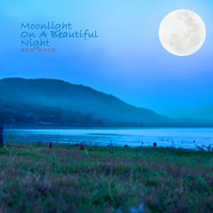 Moonlight On A Beautiful Night