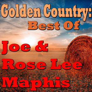 Dengarkan Dream House for Sale lagu dari Joe & Rose Lee Maphis dengan lirik