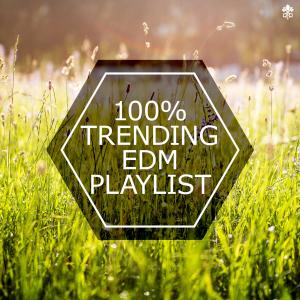 Album 100% Trending EDM from Various