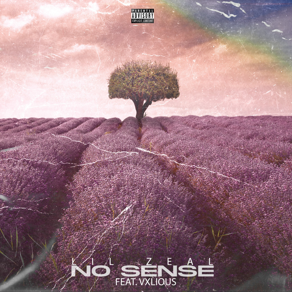No Sense (Explicit)