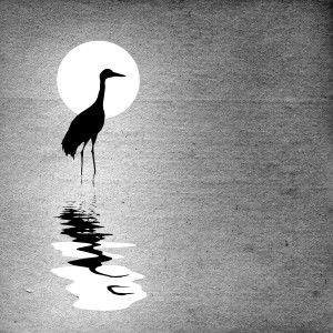 收听杨蔺的诺尼木伦歌词歌曲