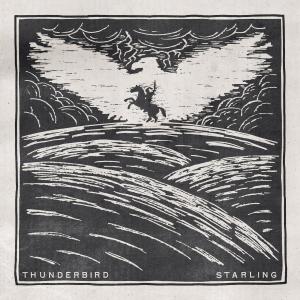 อัลบัม Thunderbird (Explicit) ศิลปิน Starling