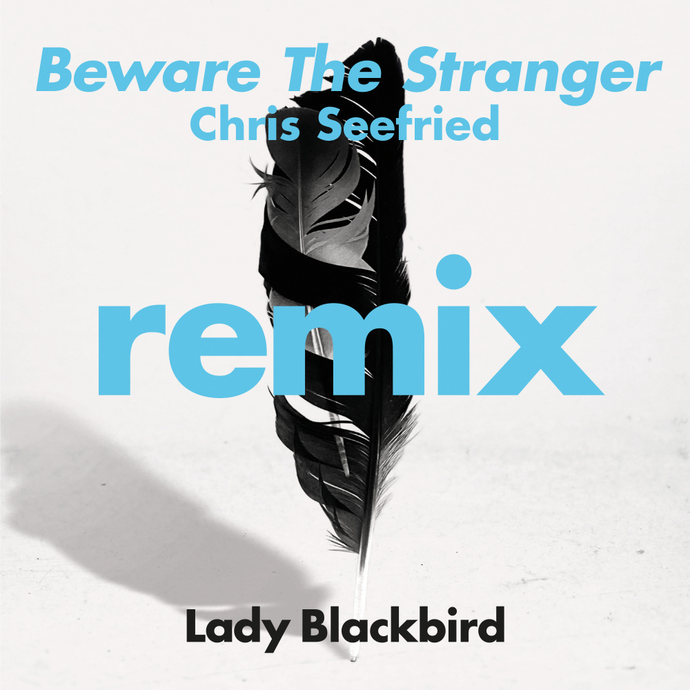 Beware The Stranger (Chris Seefried's Ambient Excursion) [feat. Trombone Shorty] [Radio Edit] (Radio Edit)