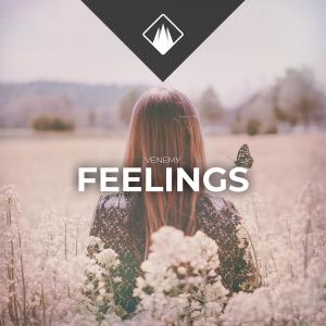 Venemy的专辑Feelings