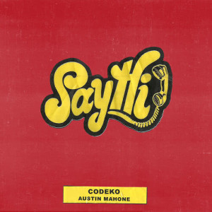 ดาวน์โหลดและฟังเพลง Say Hi พร้อมเนื้อเพลงจาก Codeko