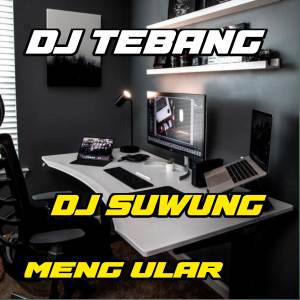 Listen to DJ SUWUNG X ULAR song with lyrics from DJ TEBANG