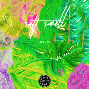 อัลบัม Soft Smell ศิลปิน Linfeng