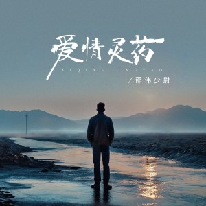 Album 爱情灵药 from 邵伟