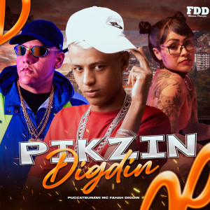 收聽Digdin的Pikzin Digdin (Explicit)歌詞歌曲