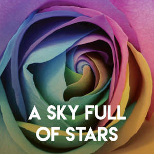 Listen to A Sky Full of Stars song with lyrics from CDM Project